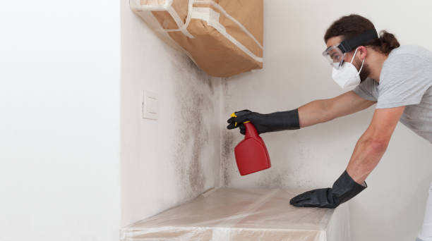 Professional Bathroom Mold Removal technician working in Orbisonia, PA