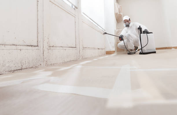 24/7 Emergency Bathroom Mold Removal experts in Orbisonia, PA