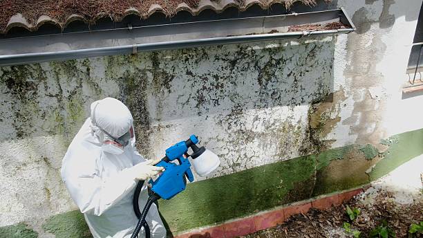 Trusted Bathroom Mold Removal service in Orbisonia, PA - Cheap Mold Removal